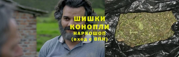 шишки Горнозаводск