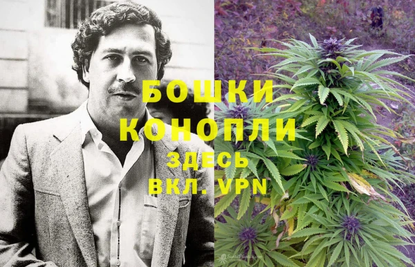 шишки Горнозаводск