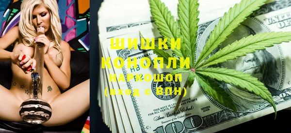 шишки Горнозаводск