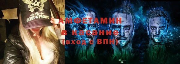 шишки Горнозаводск