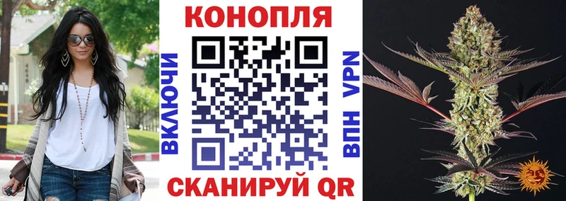 Купить закладки  Кольчугино  Каннабис план 